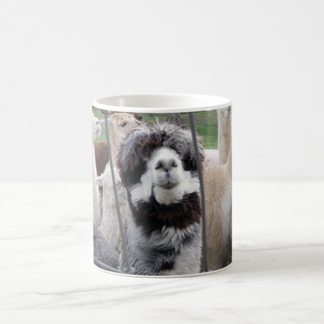 Alpaca Mug :) (Center)