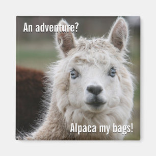 Alpaca My Bags for Adventure Magnet