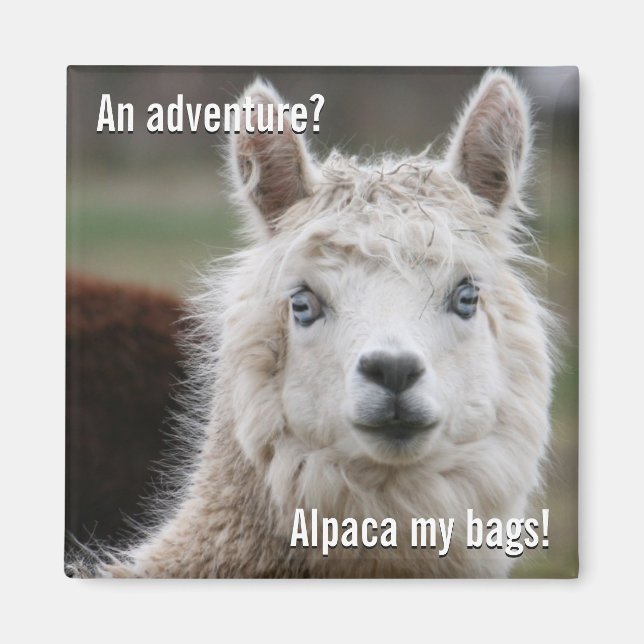Alpaca My Bags for Adventure Magnet (Front)