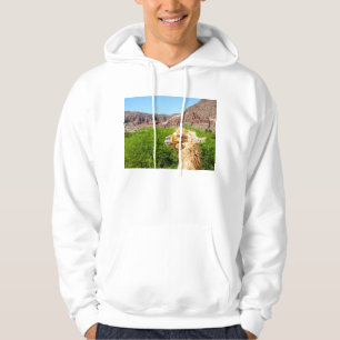 Alpaca Near Salta, Argentina Hoodie