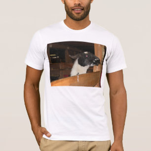 Alpaca not a LLama T-Shirt