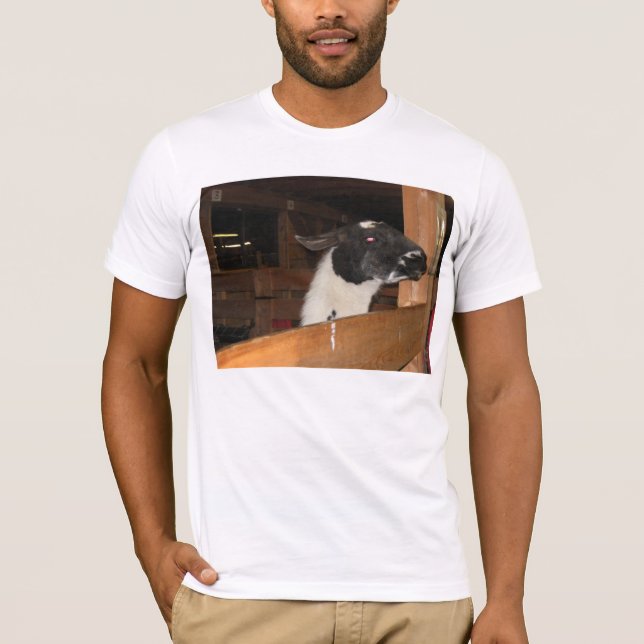 Alpaca not a LLama T-Shirt (Front)