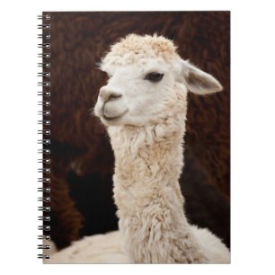 Alpaca Notebook