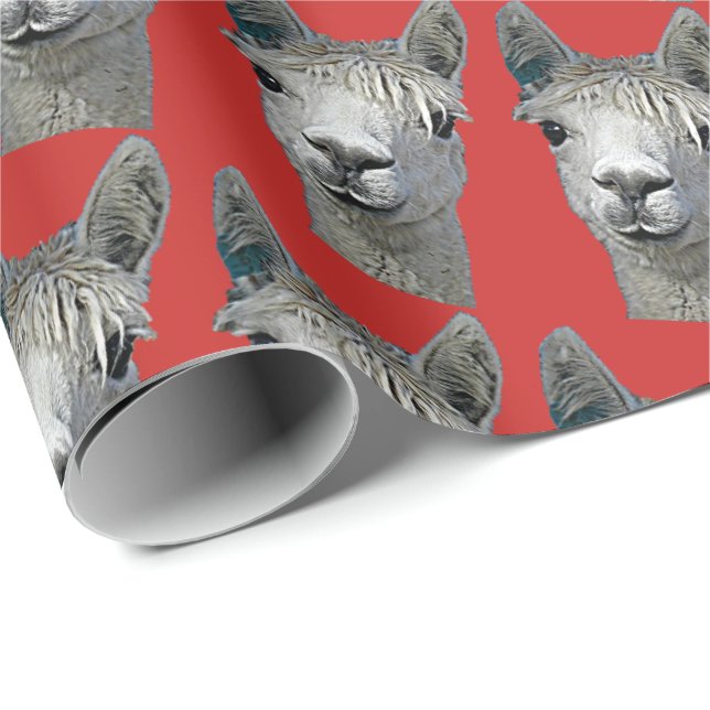 Alpaca on Red Paper (Roll Corner)
