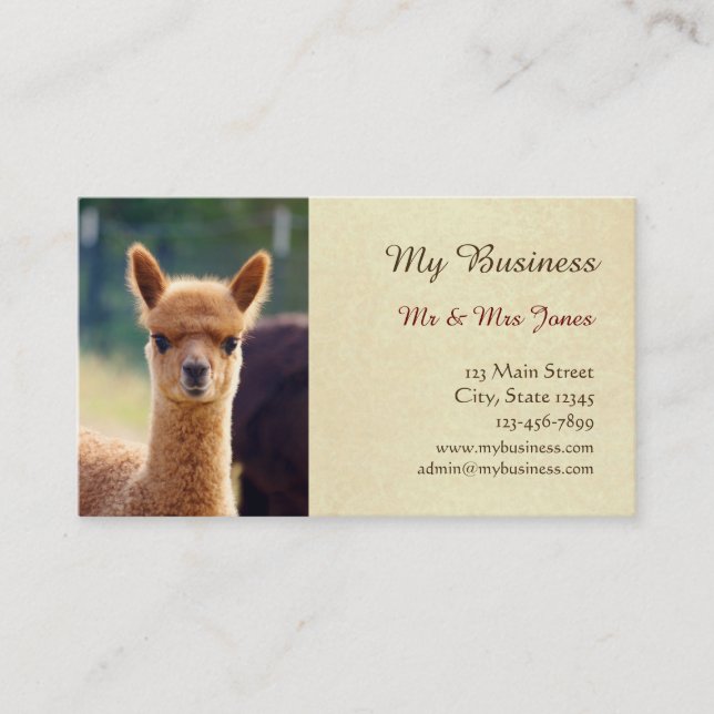 Alpaca Pet Care Business Cards Double-Sided (Front)