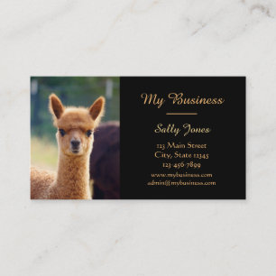 Alpaca Pet Care Business Cards Double-Sided