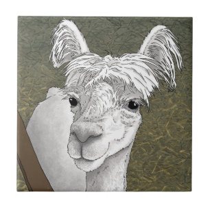Alpaca Portrait 2 Ceramic Tile