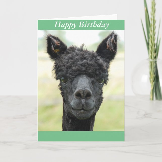 Alpaca Portrait Card (Front)