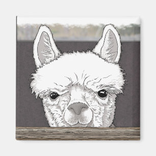 Alpaca Portrait Magnet