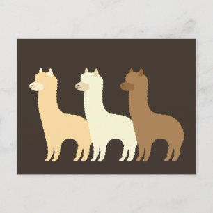 Alpaca Postcard