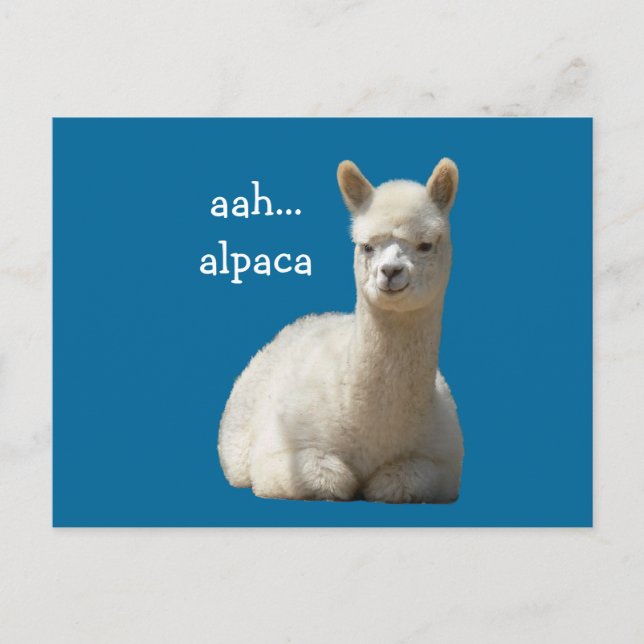Alpaca Postcards (Front)