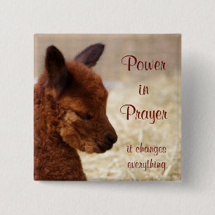 Alpaca Prayer Pin
