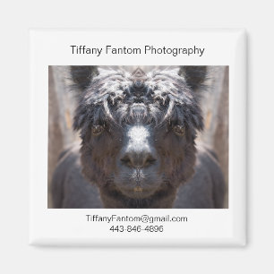 Alpaca Promo Piece Magnet