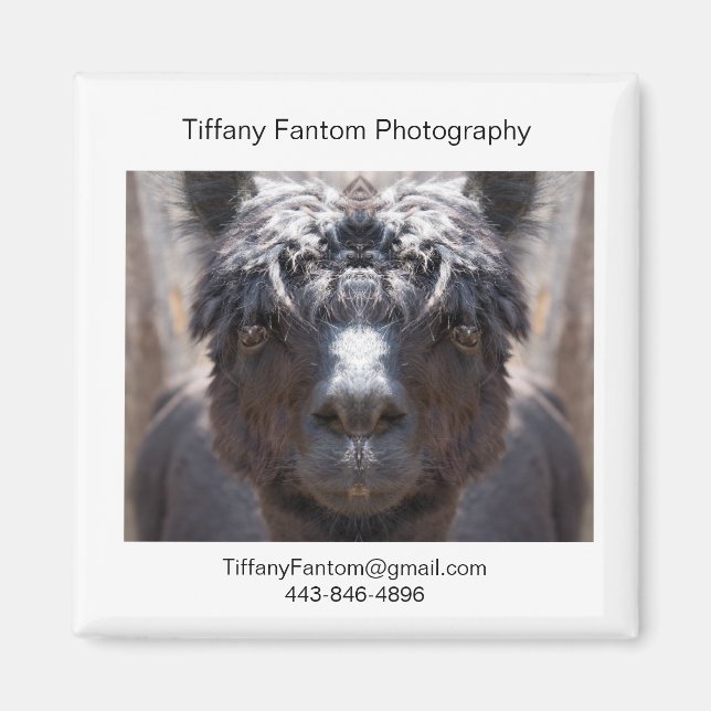 Alpaca Promo Piece Magnet (Front)