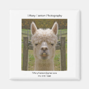 Alpaca Promo Piece Magnet