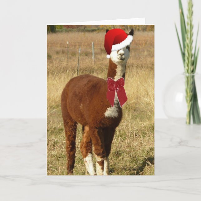 Alpaca Santa Holiday Card (Front)