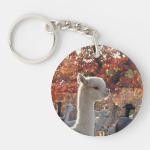 Alpaca Scripture Acrylic Keychain