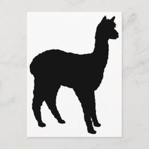 Alpaca Silhouette Postcard