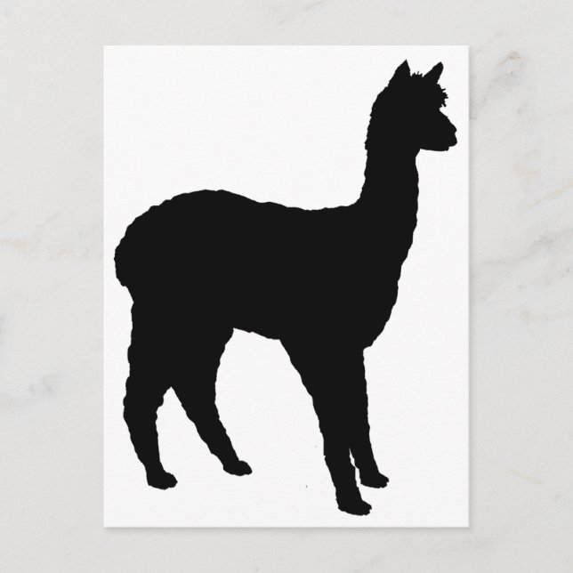Alpaca Silhouette Postcard (Front)
