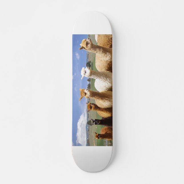 Alpaca Skateboard (Front)