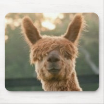 Alpaca Smiling Mouse Pad