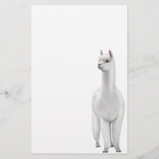 Alpaca Stationery (Front)