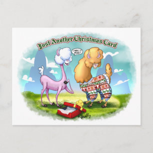 ALPACA SWEATER by Jeff Willis Art Holiday Postcard