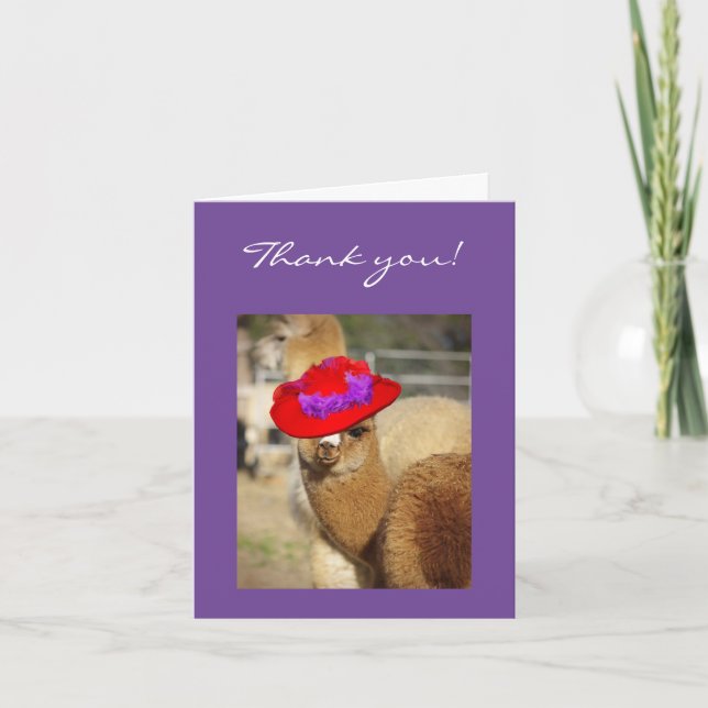 Alpaca Thank You Cards (Front)