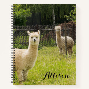 Alpaca Themed Notebook Personalised