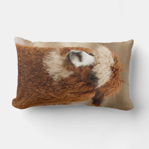 Alpaca throw pillow