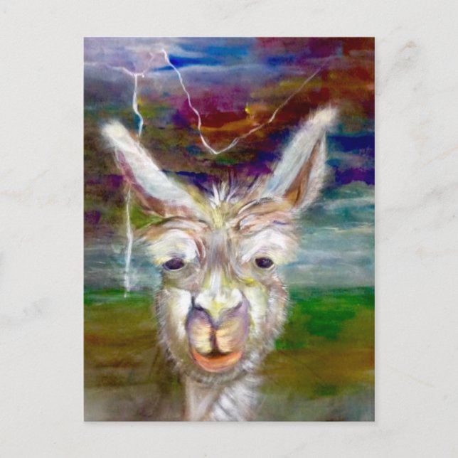 Alpaca - Uncle Glen  postcard (Front)