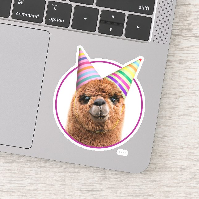 Alpaca Wearing Party Hats (Detail)