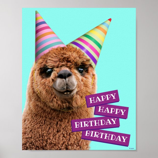 Alpaca Wearing Party Hats Poster (Front)