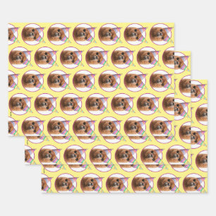 Alpaca Wearing Party Hats Wrapping Paper Sheet