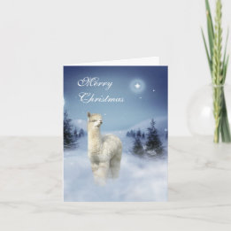 Alpaca Winter Night Christmas Cards