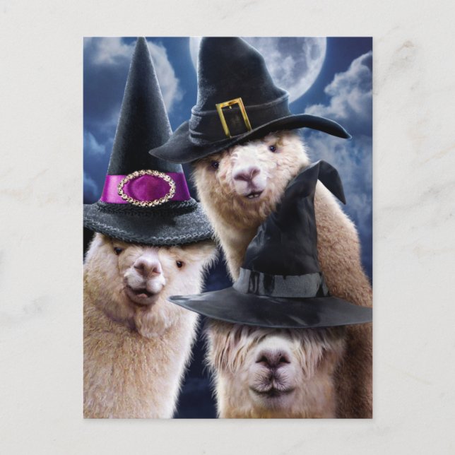 Alpaca Witches Invitation Postcard (Front)