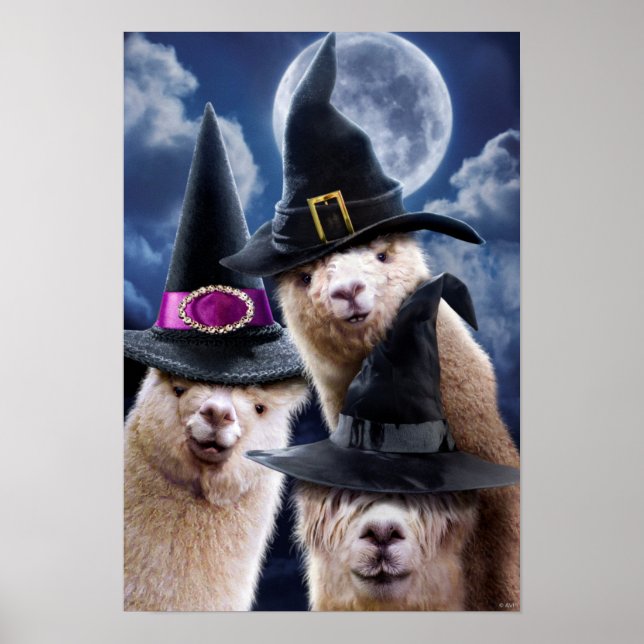 Alpaca Witches Poster (Front)