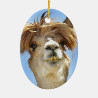 Alpaca with Crazy Hair Ceramic Tree Decoration