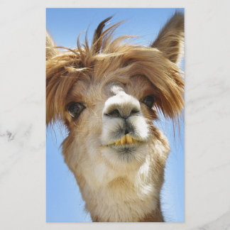 Alpaca with Crazy Hair Stationery
