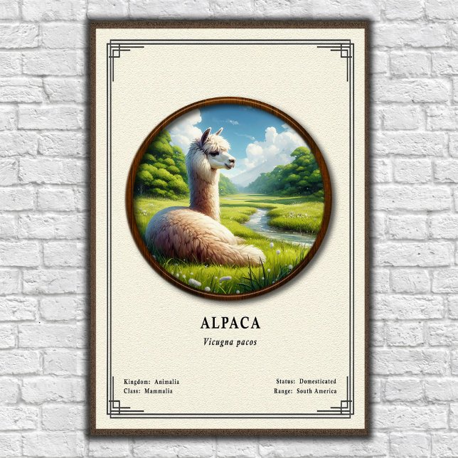Alpaca Zoology Series Poster (Creator Uploaded)