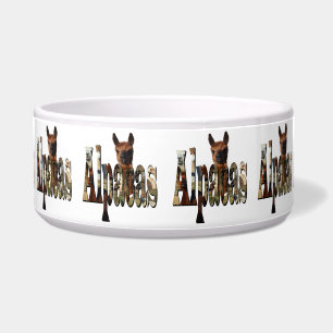 "Alpacas: A Furry Friend Behind the Name"