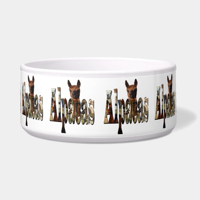 "Alpacas: A Furry Friend Behind the Name" (Front)