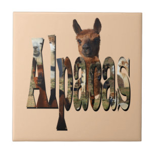 "Alpacas: A Furry Friend Behind the Name" Ceramic Tile
