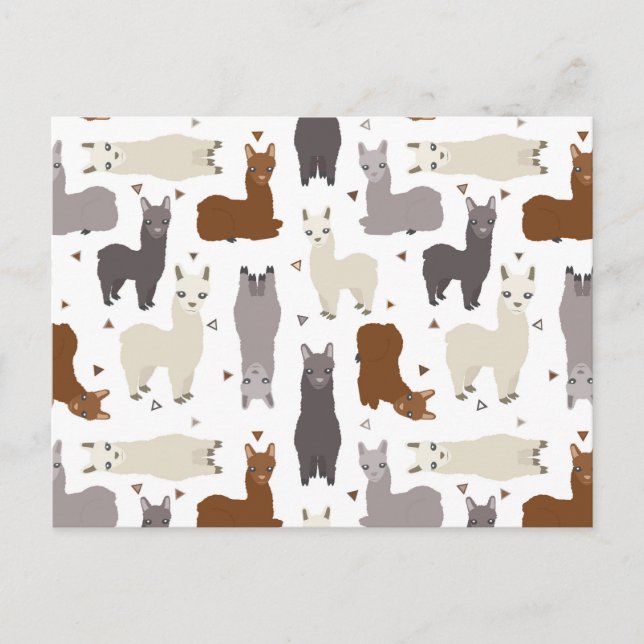Alpacas Geo Pattern Postcard (Front)