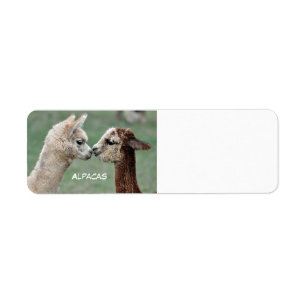Alpacas label return address label