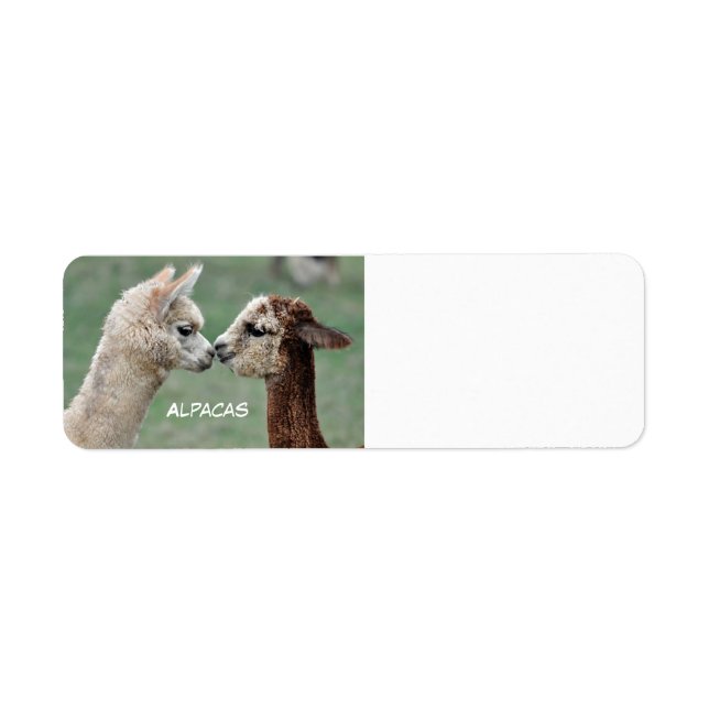 Alpacas label return address label (Front)