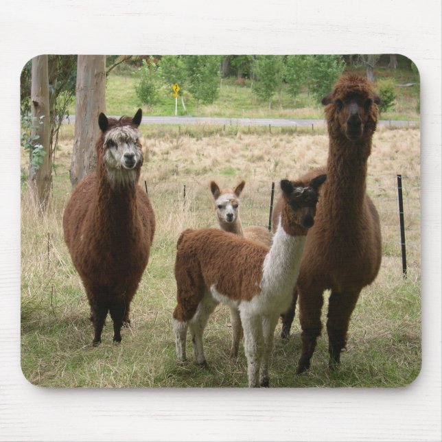 Alpacas Mouse Pad (Front)