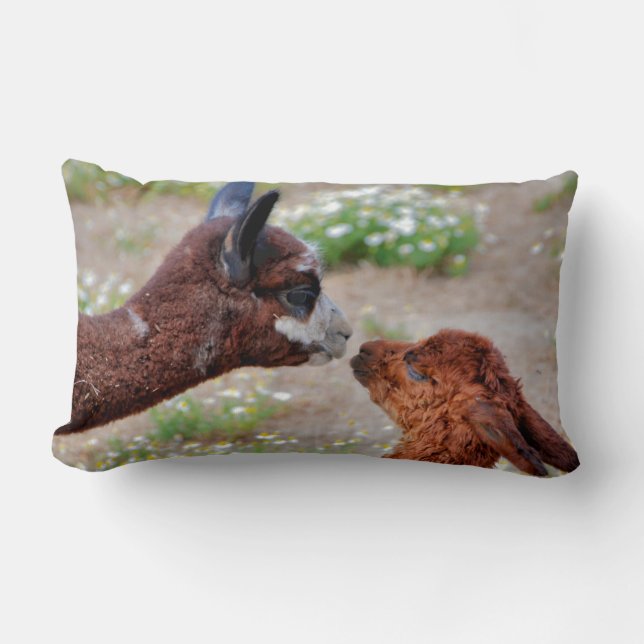 Alpacas Pillow (Front)