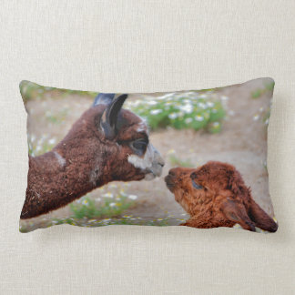 Alpacas Pillow