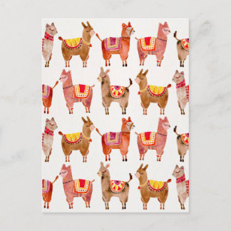 Alpacas Postcard